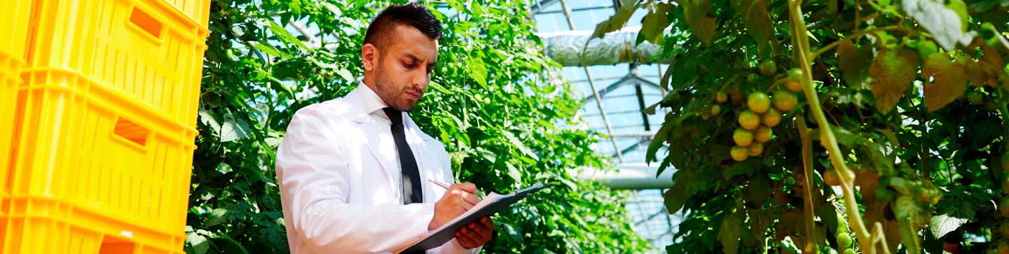 Banner do curso Agronegócios