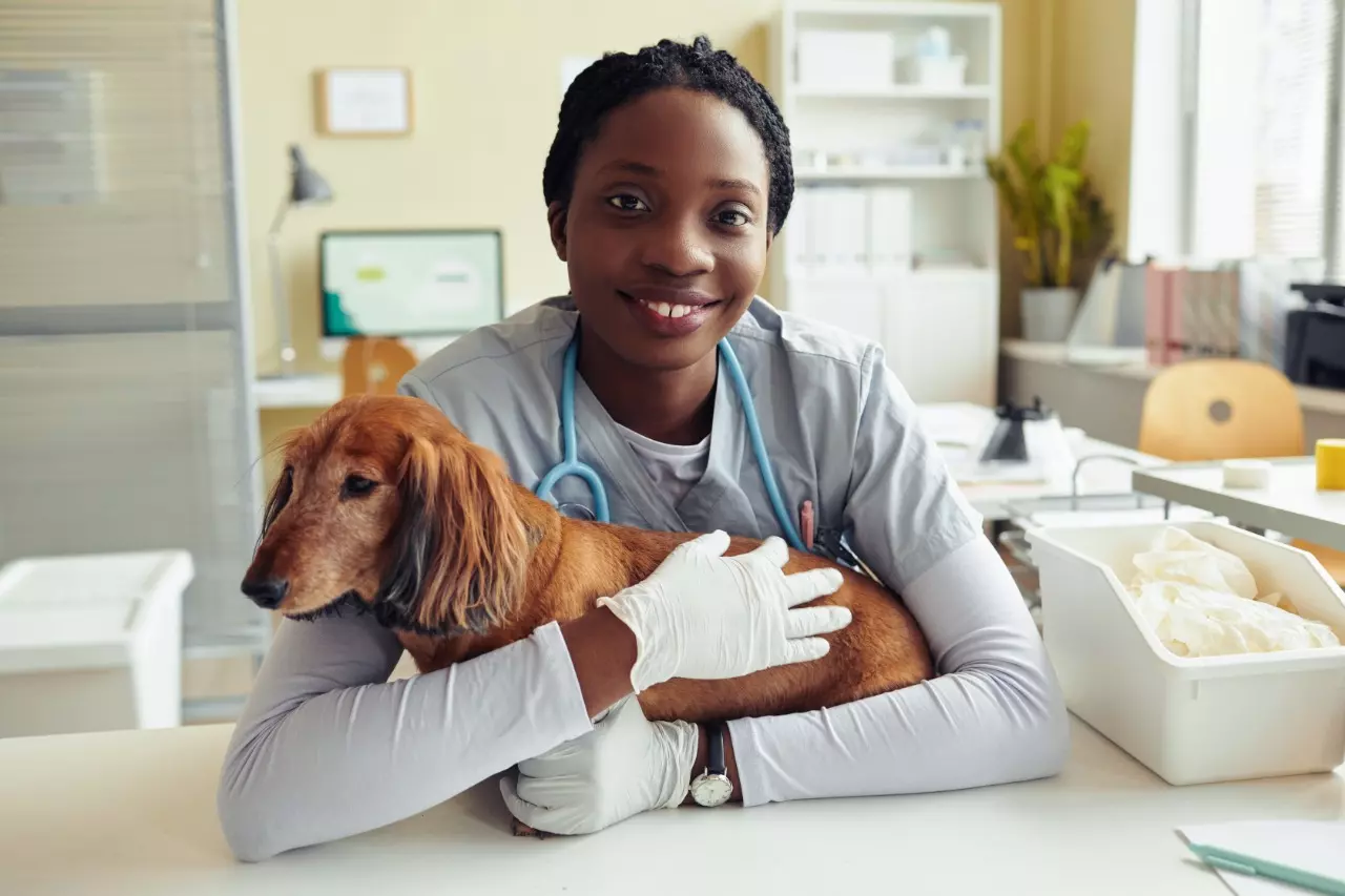 I VETCAMP: Expandindo os horizontes na medicina veterinária