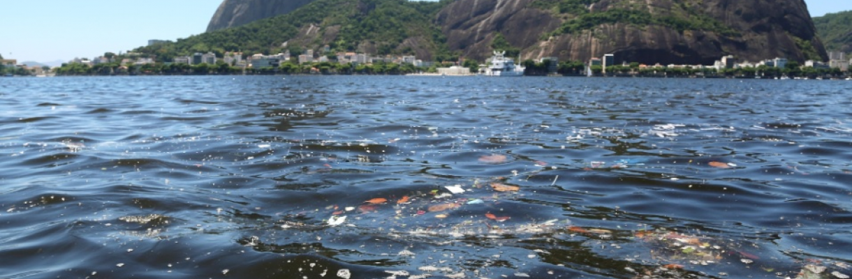 Saneamento no Rio de Janeiro: Um Registro dos Principais Acontecimentos da Década 2011-2020