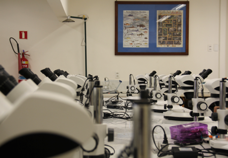 Foto de diversos microscópios numa bancada do laboratório da UVA no Campus Tijuca